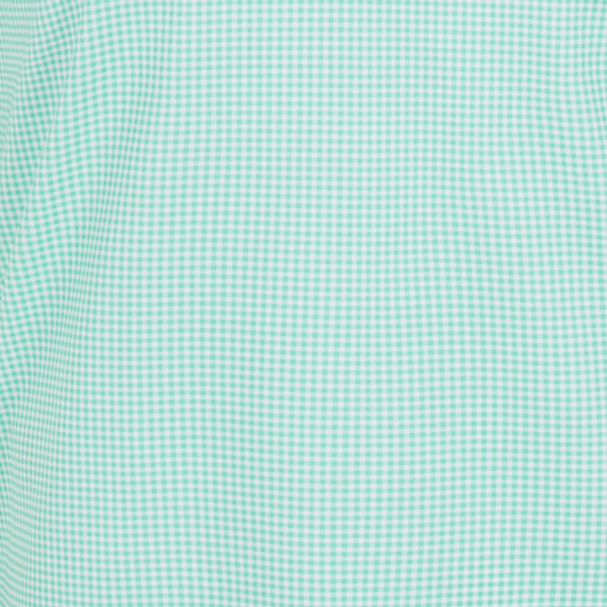 Featherweight Flex Polo Green Gingham